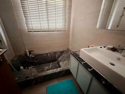 Lotus Ville (D15), Terrace #556946661